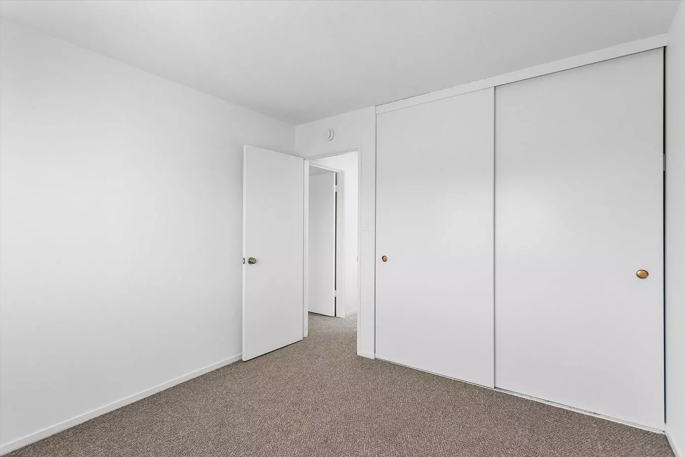 1145 Bismarck Ln photo 5
