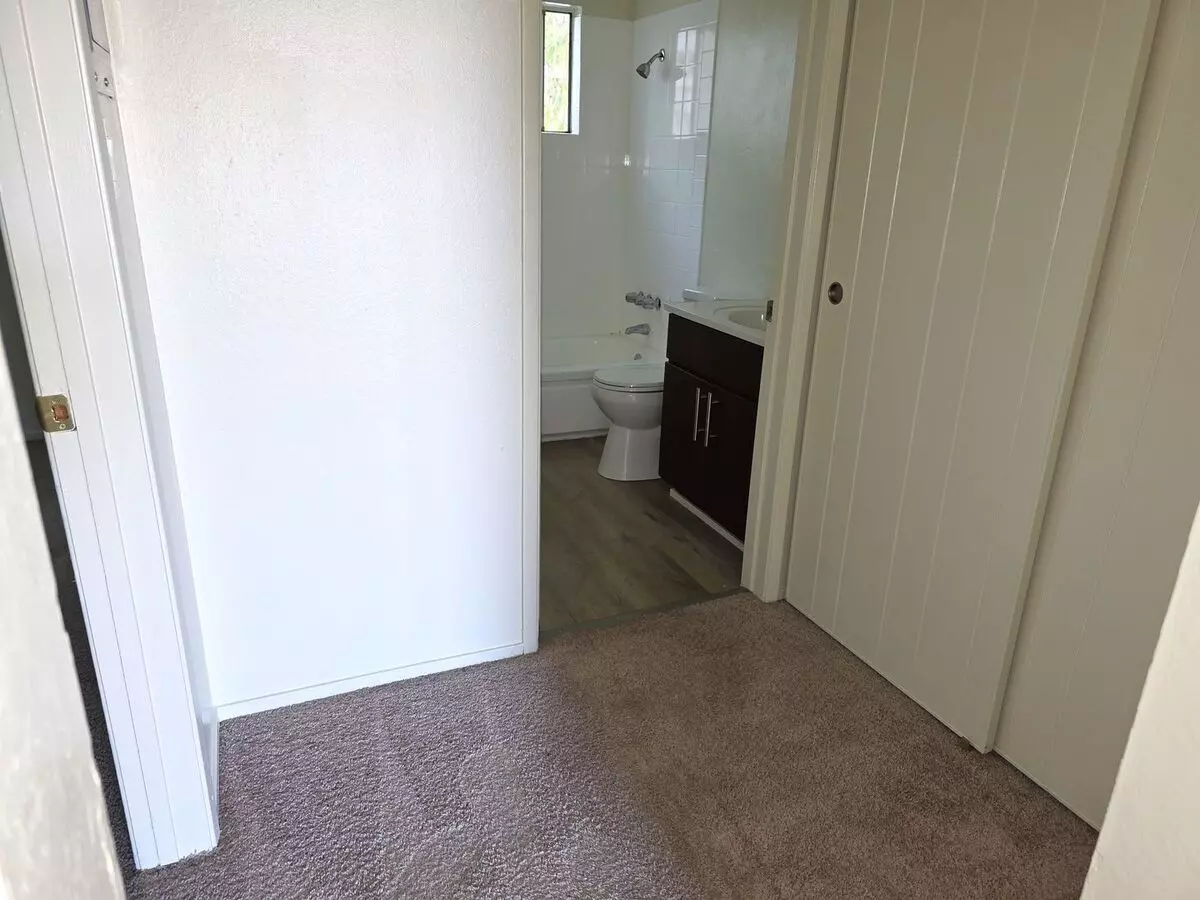 Spacious, Newly Remodeled, One Bedroom Apartment photo 4