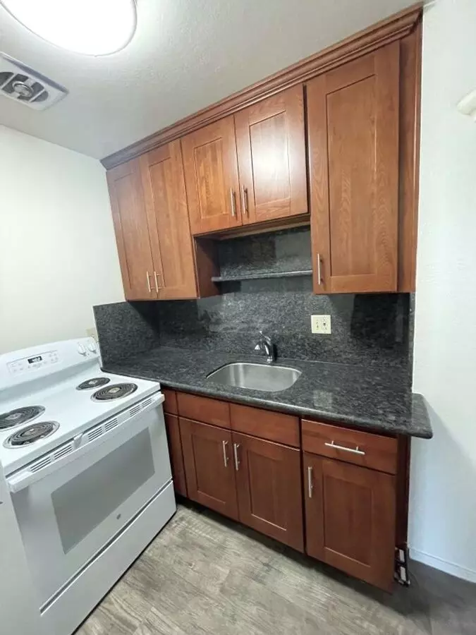 Spacious, Newly Remodeled, One Bedroom Apartment photo 3