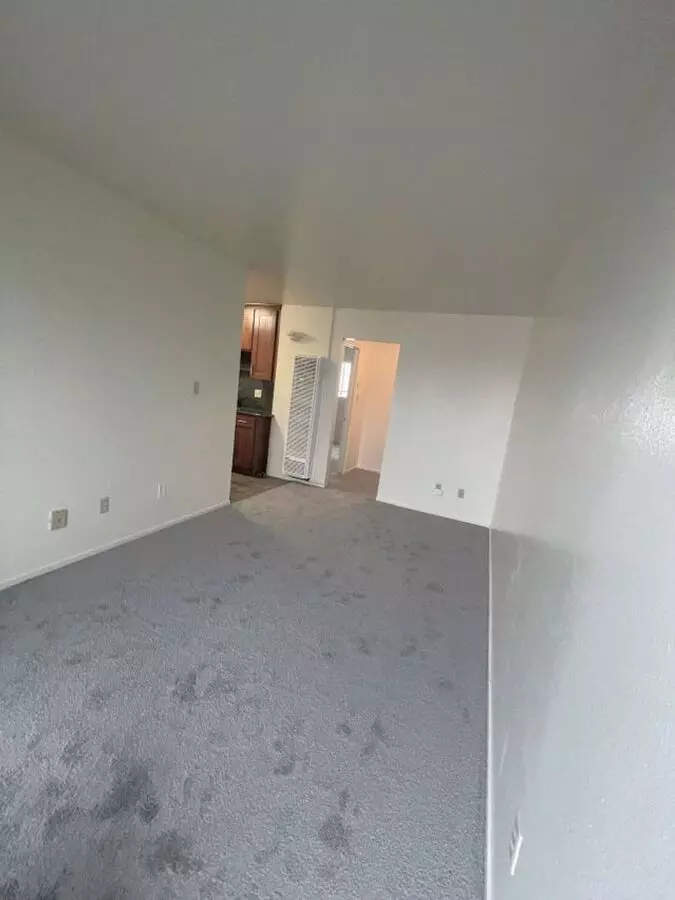 Spacious, Newly Remodeled, One Bedroom Apartment photo 5