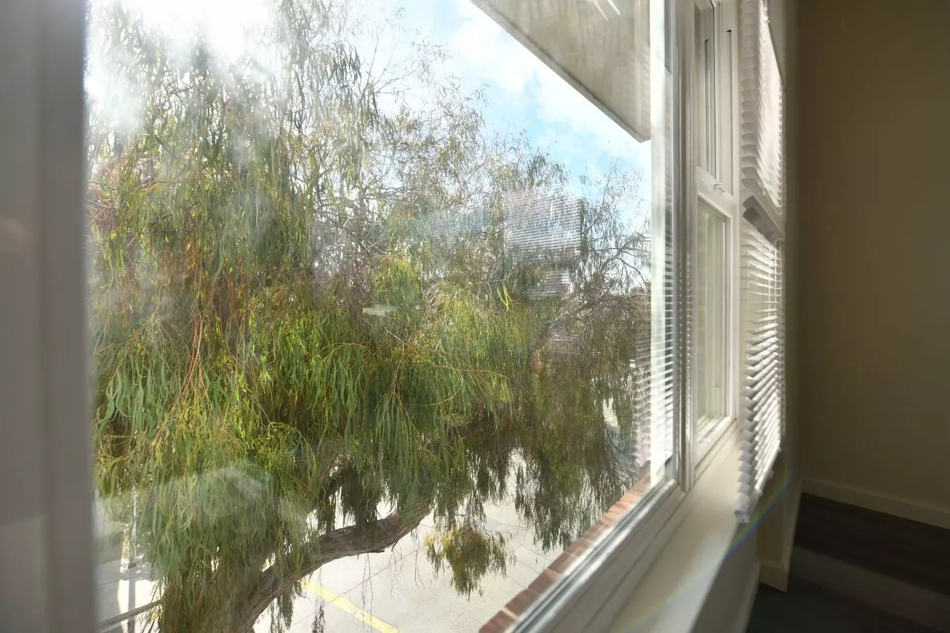 935 Solano Avenue - Albany