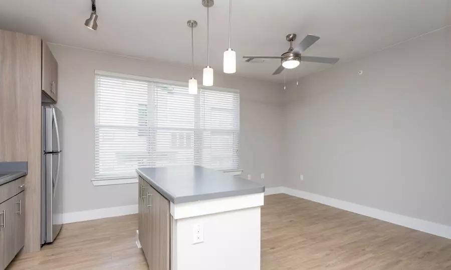 1151 Shady Lane, Austin, TX 78721 photo 3