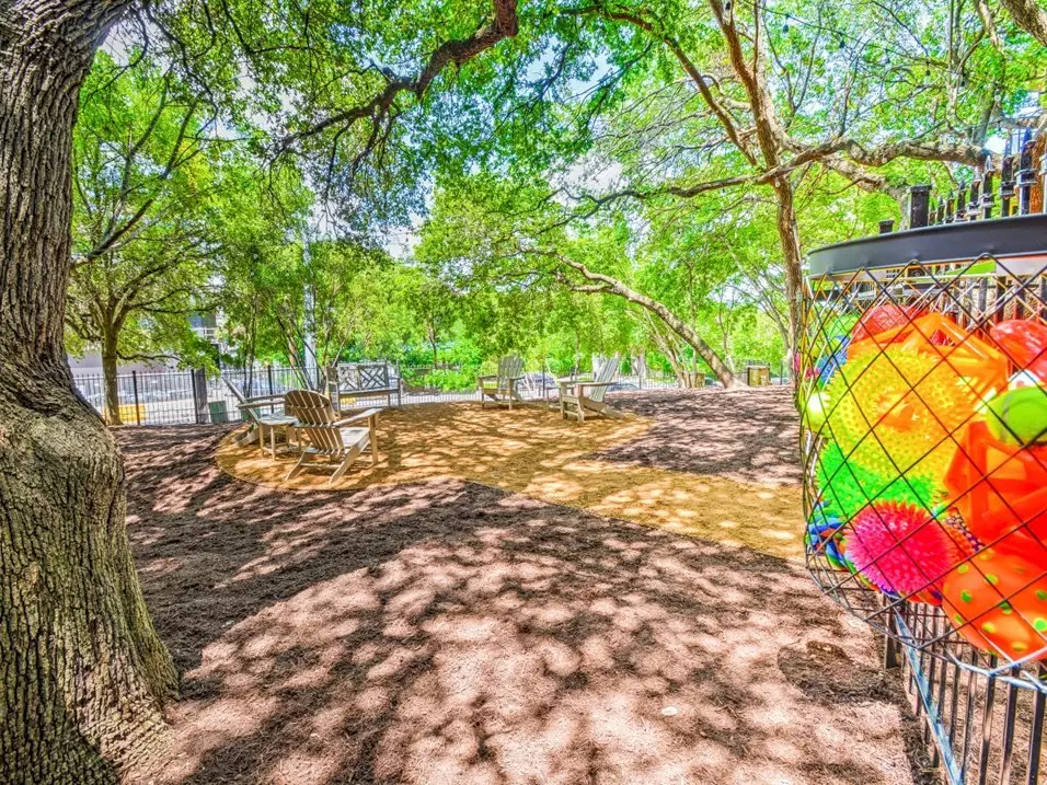 1222 South Congress Avenue, Austin, TX 78704 photo 4