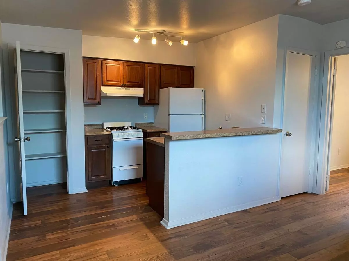 1bd/1ba Hyde Park Apartment photo 2