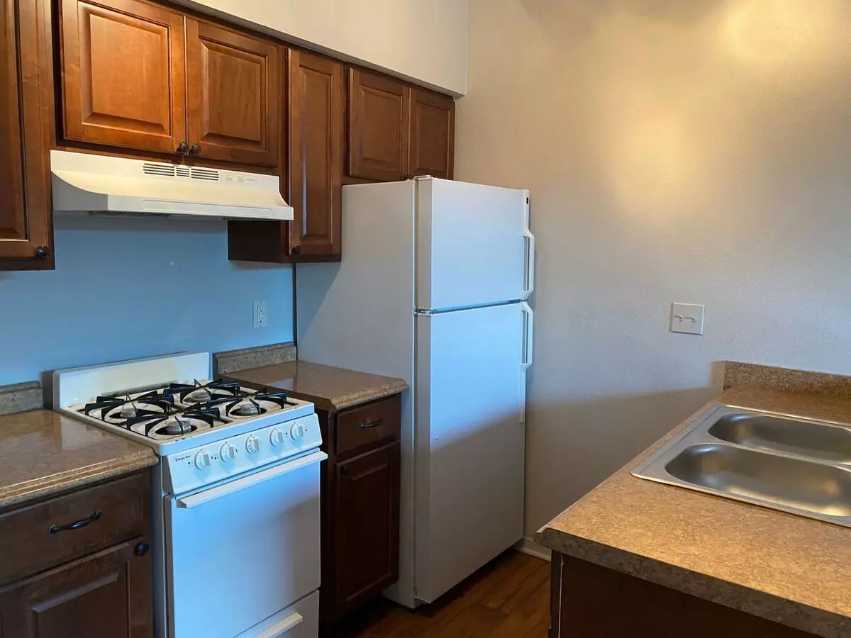 1bd/1ba Hyde Park Apartment photo 5