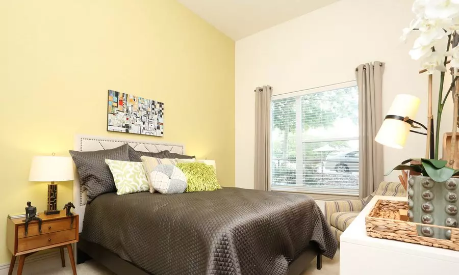 2723 South Lamar Boulevard, Austin, TX 78704 photo 3