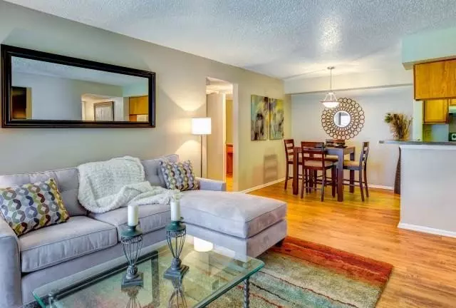 2807 Shoreline Drive, Austin, TX 78728 photo 3