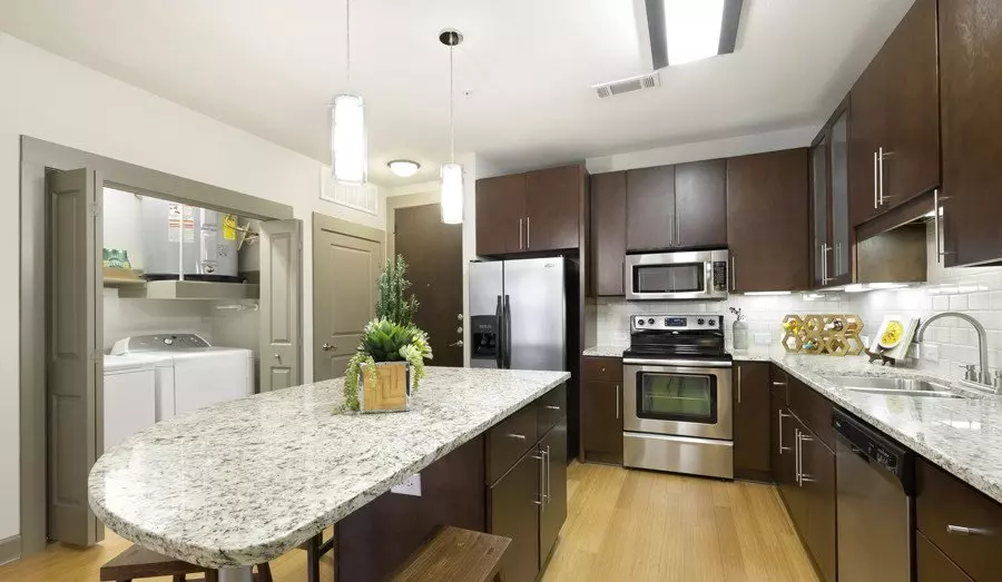 513 Pressler Street, Austin, TX 78703 photo 4