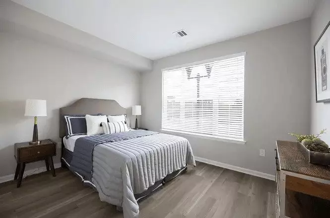 Sleek 1 Bed, 1 Bath W/ Modern Finishes photo 5