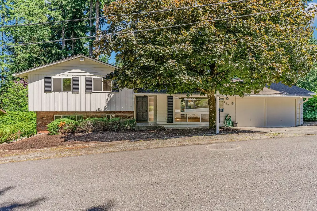 3Bd/2.5Ba Bellevue House photo 2