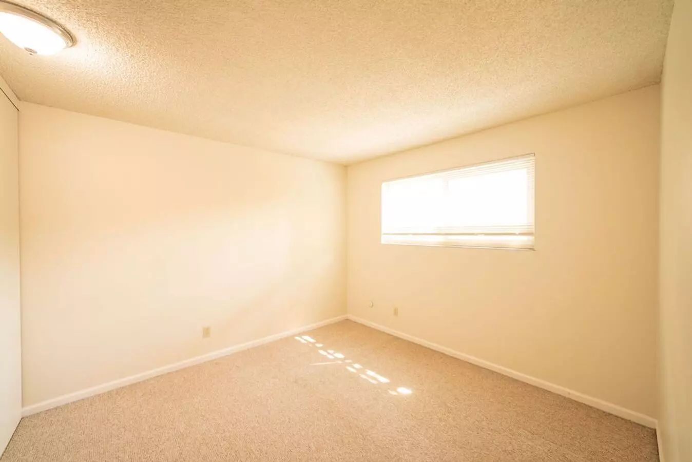 1509 Hearst photo 5
