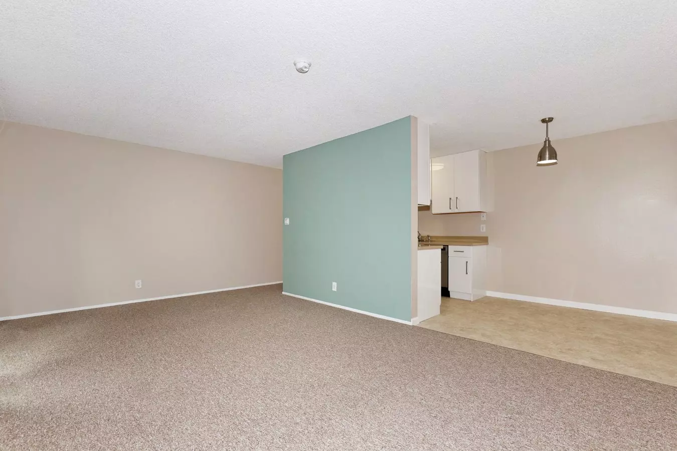 1812 Delaware Street, Berkeley, CA 94703 photo 4