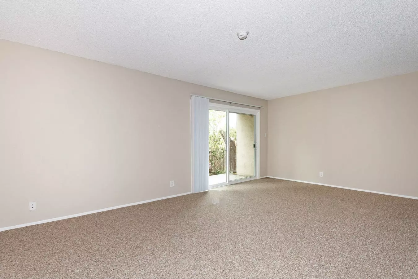 1812 Delaware Street, Berkeley, CA 94703 photo 3