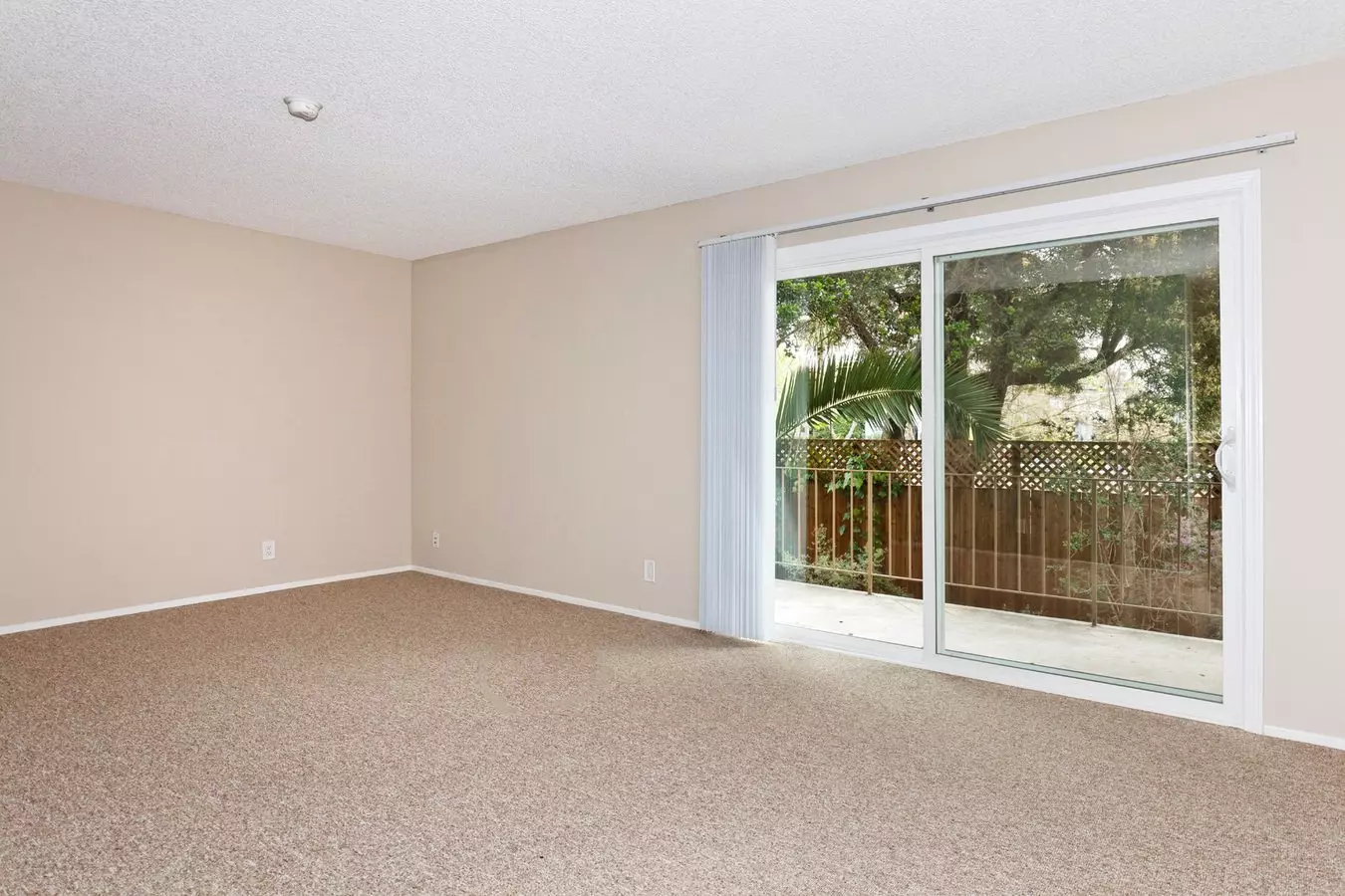 1812 Delaware Street, Berkeley, CA 94703 photo 5