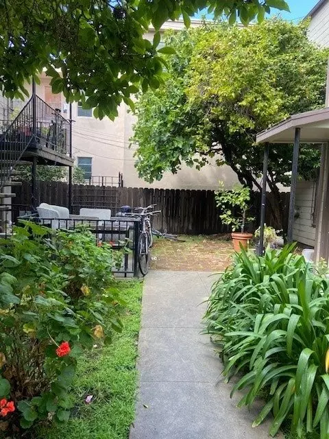2009-2011 Haste St. photo 3