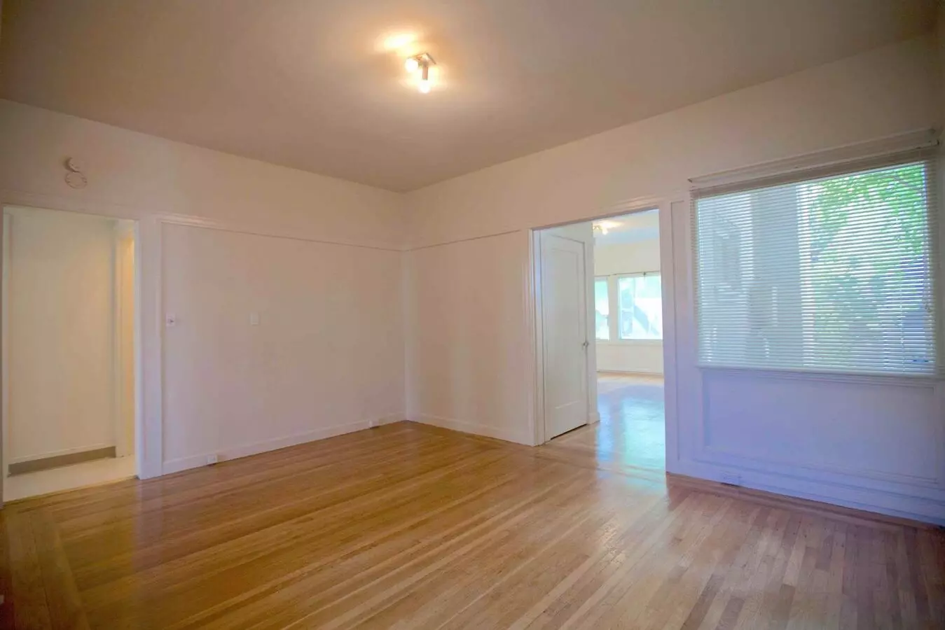 Beautiful, Spacious 1-bdr With New Windows, Great Wood Floors, And Lots Of Storage Space photo 3