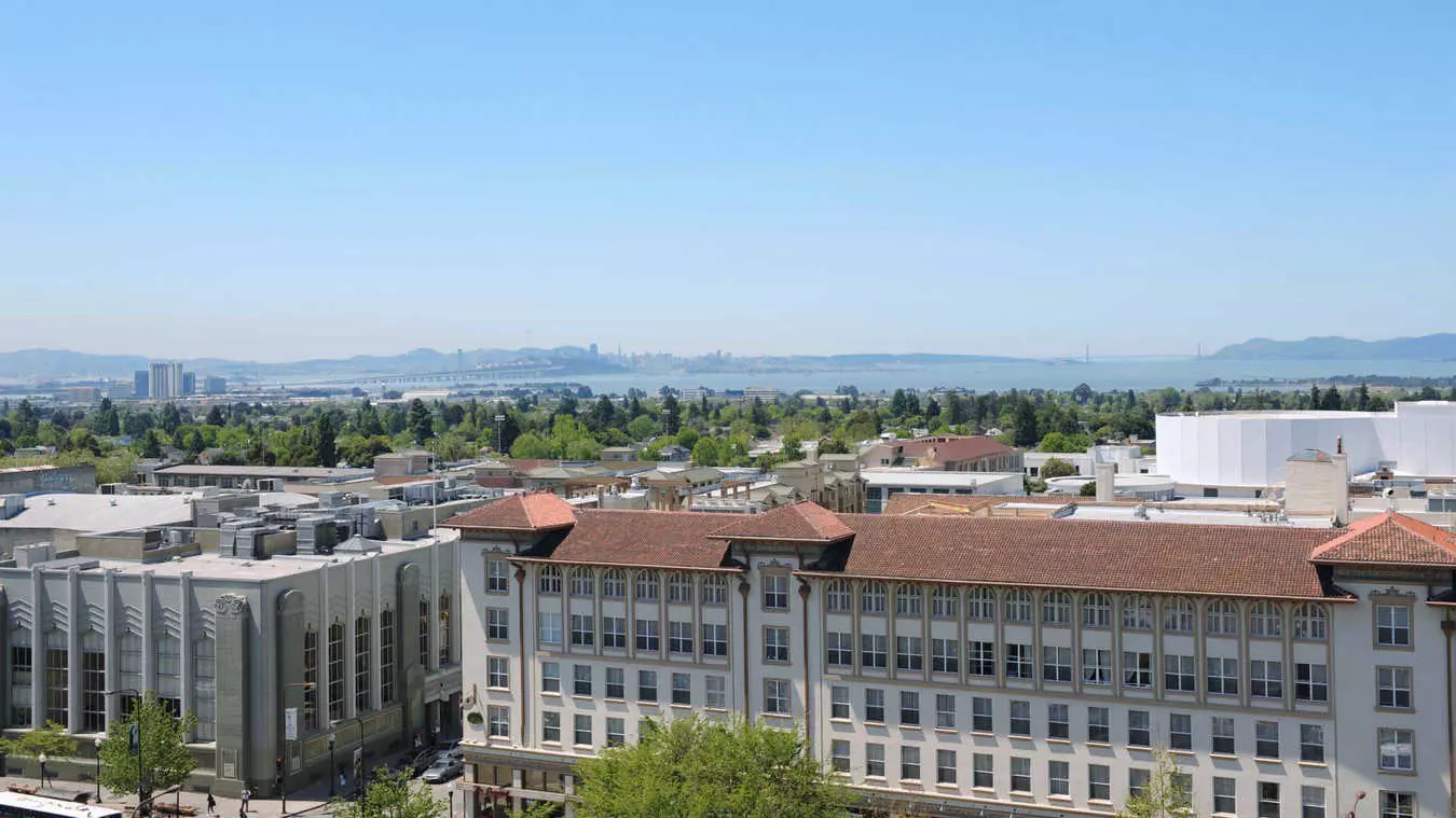 Berkeley Apartments - Gaia photo 4