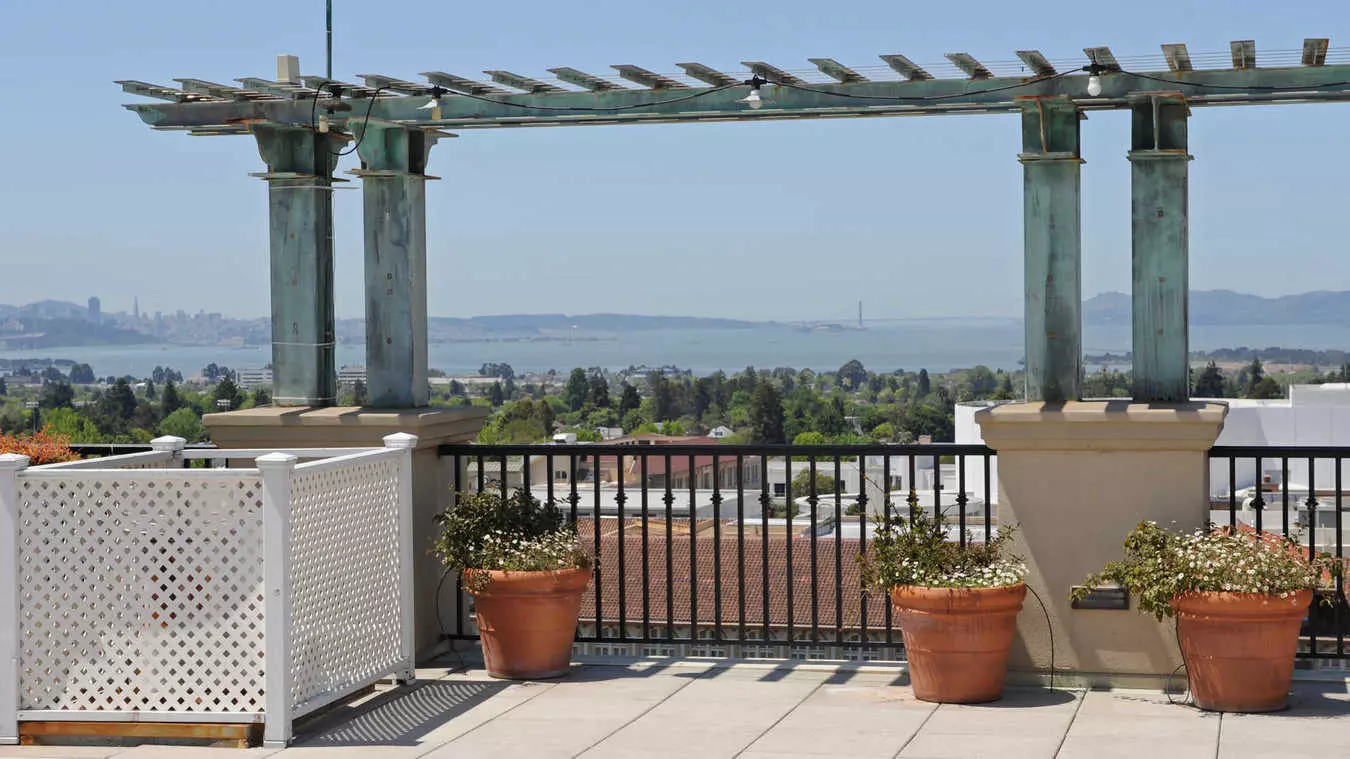 Berkeley Apartments - Gaia photo 4