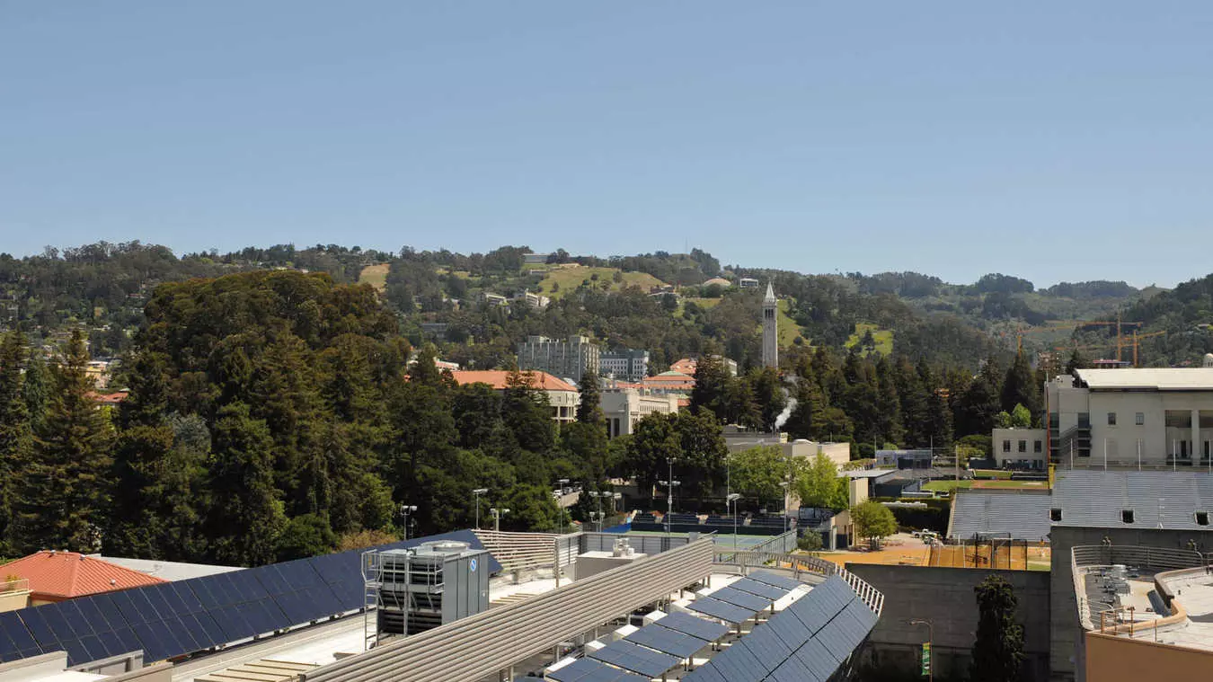 Berkeley Apartments - Gaia photo 5