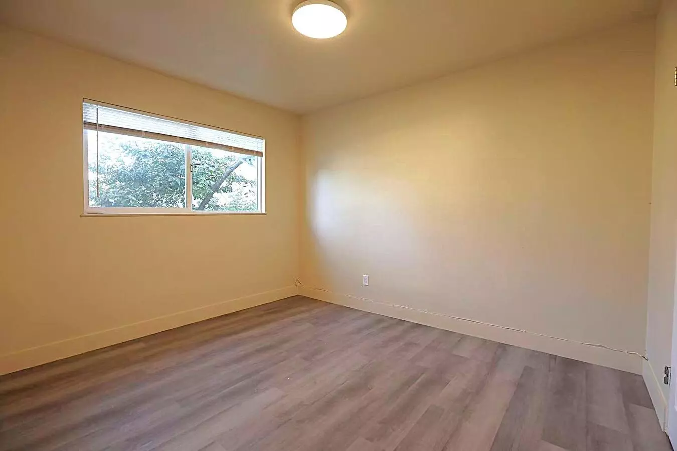 Coming Soon - 2 Bedroom, 1 Bath With Laminating Flooring photo 4