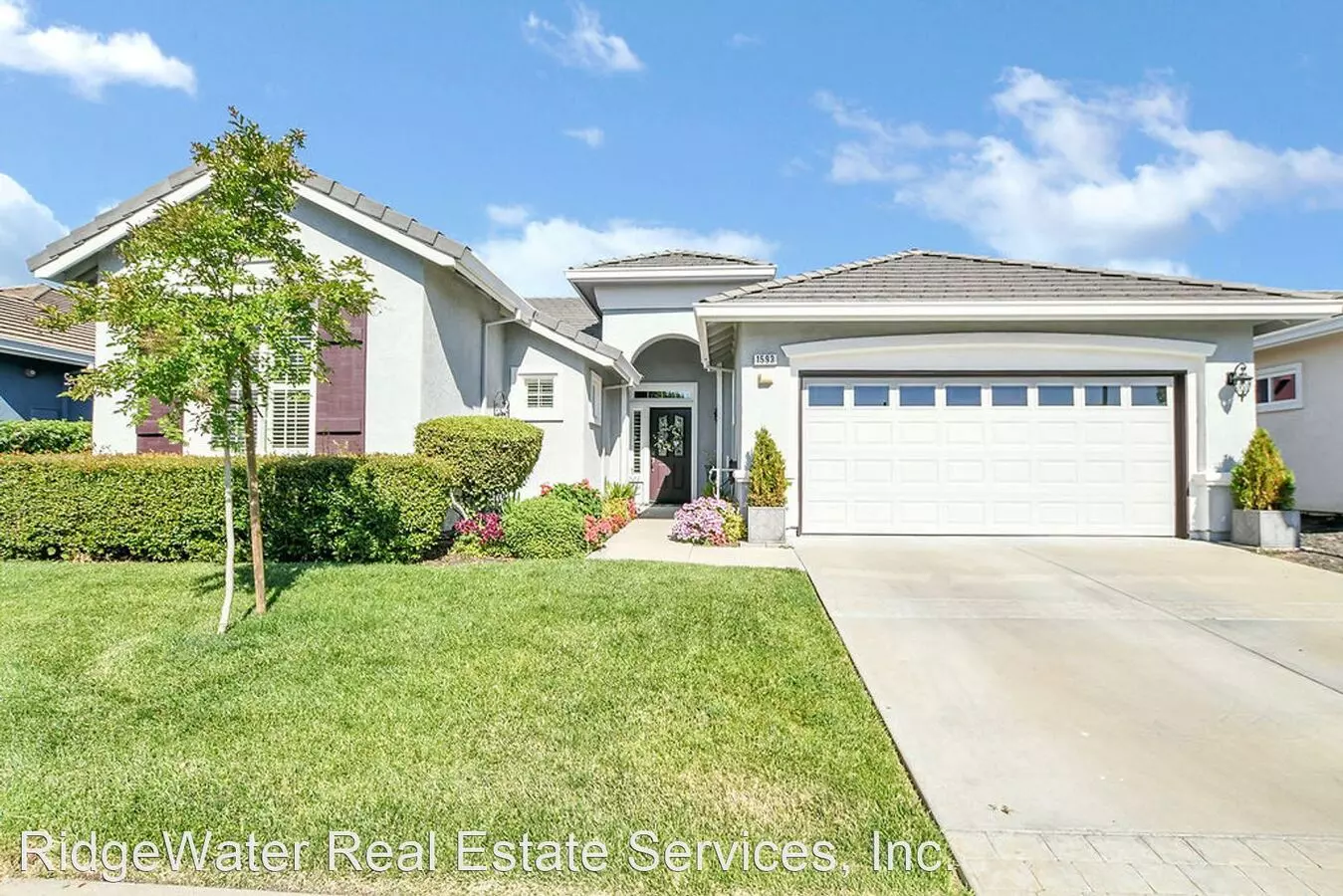 1593 Regent Dr photo 3