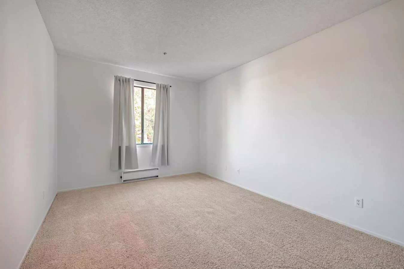 1515 Floribunda Avenue - 106 photo 4