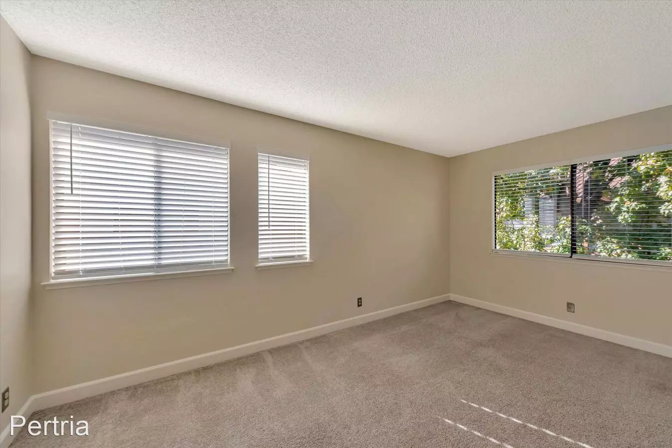 928 Apricot Avenue, Campbell, CA 95008 photo 4