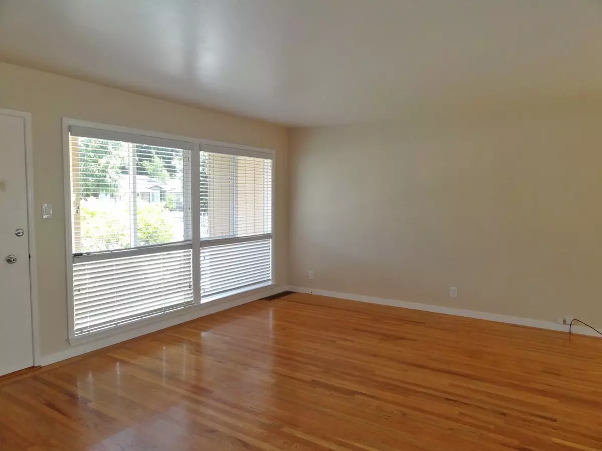919 Almarida Dr photo 5
