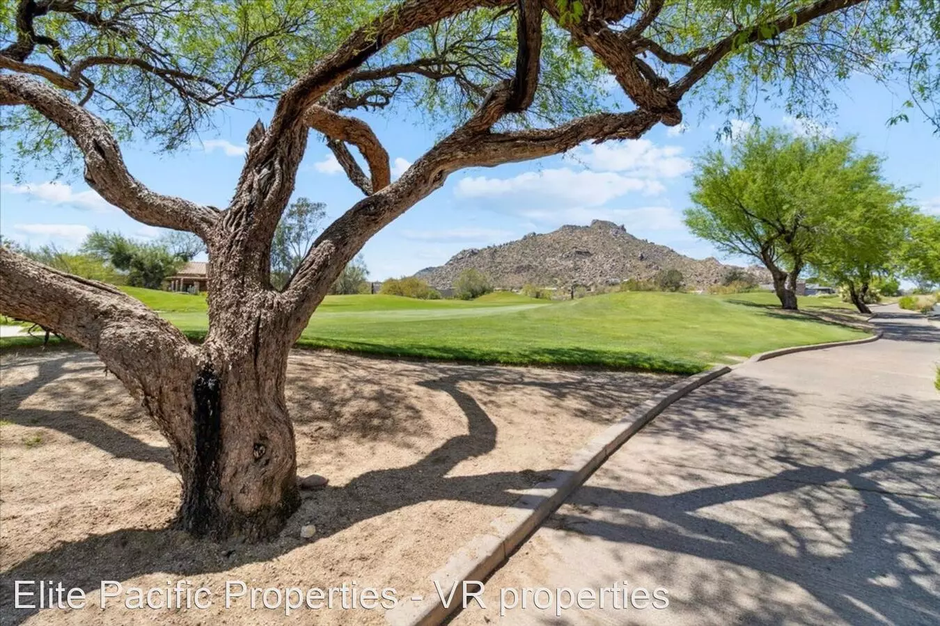 1725 E STAGHORN Lane photo 3