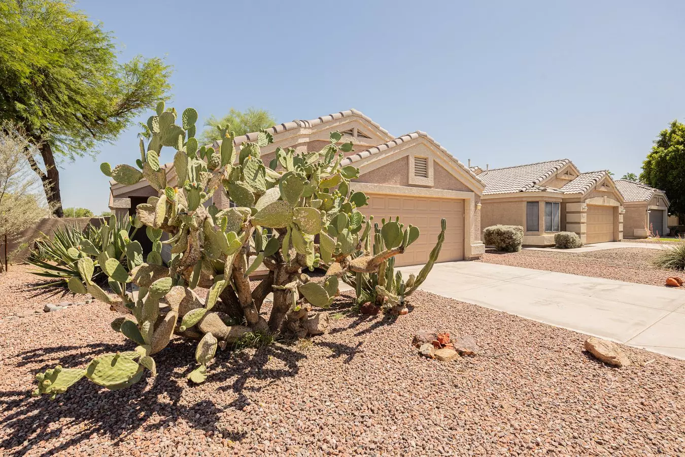 1654 W Geronimo St Chandler, AZ 85224 photo 5