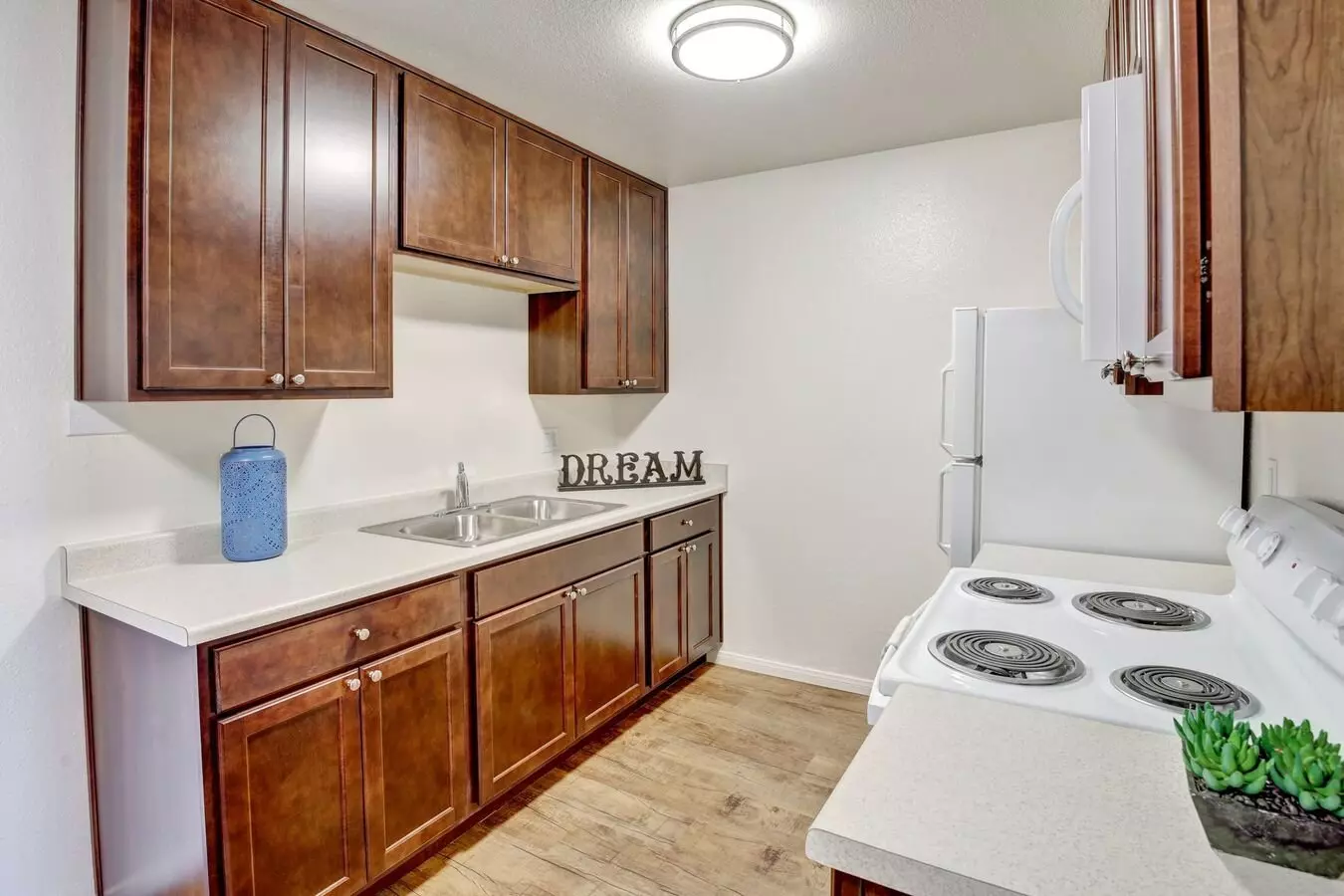 Del Mar Apartment Homes photo 3