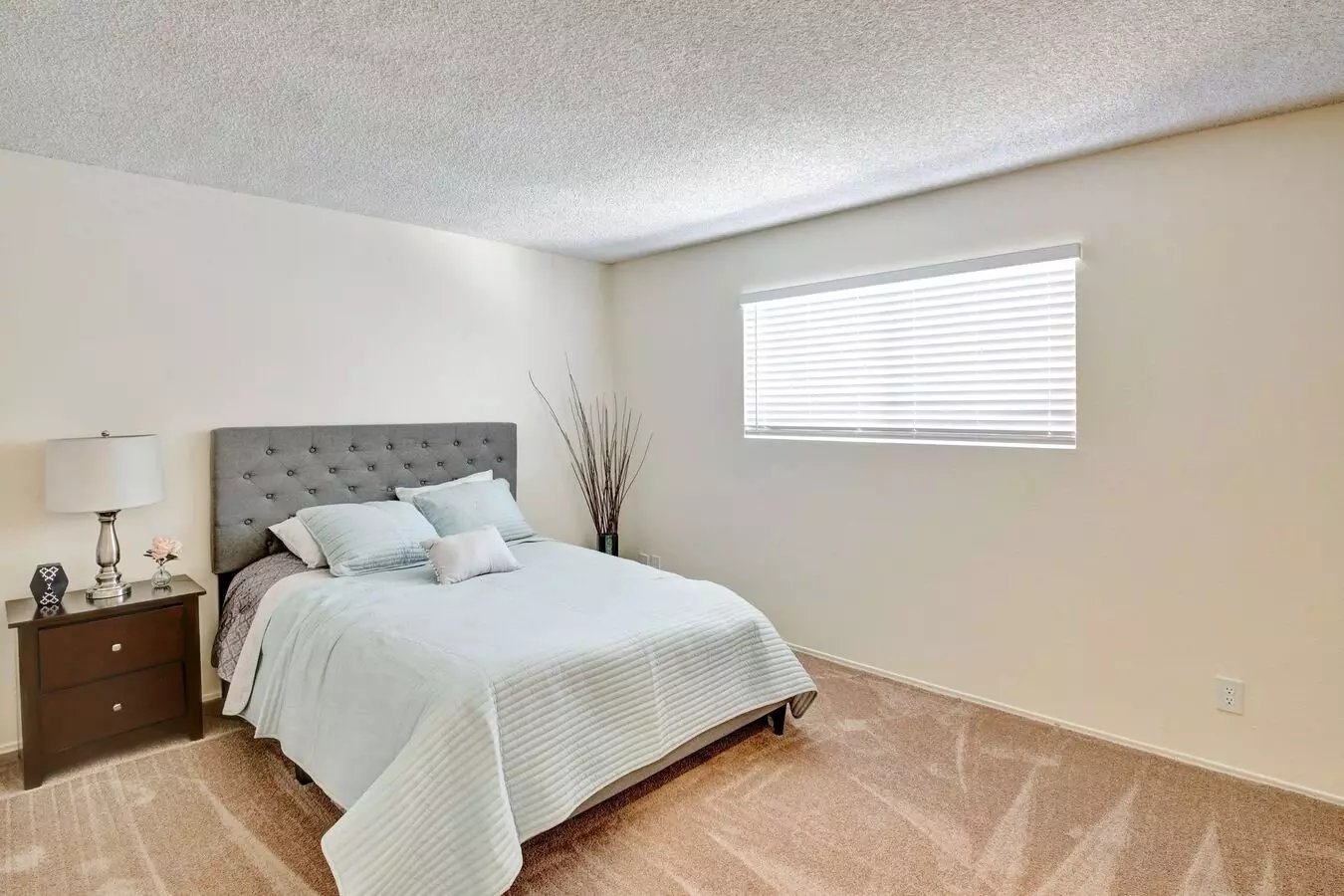 Del Mar Apartment Homes photo 4