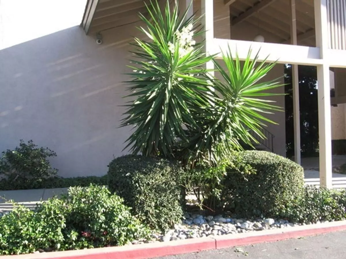 Peperwood Homes photo 3