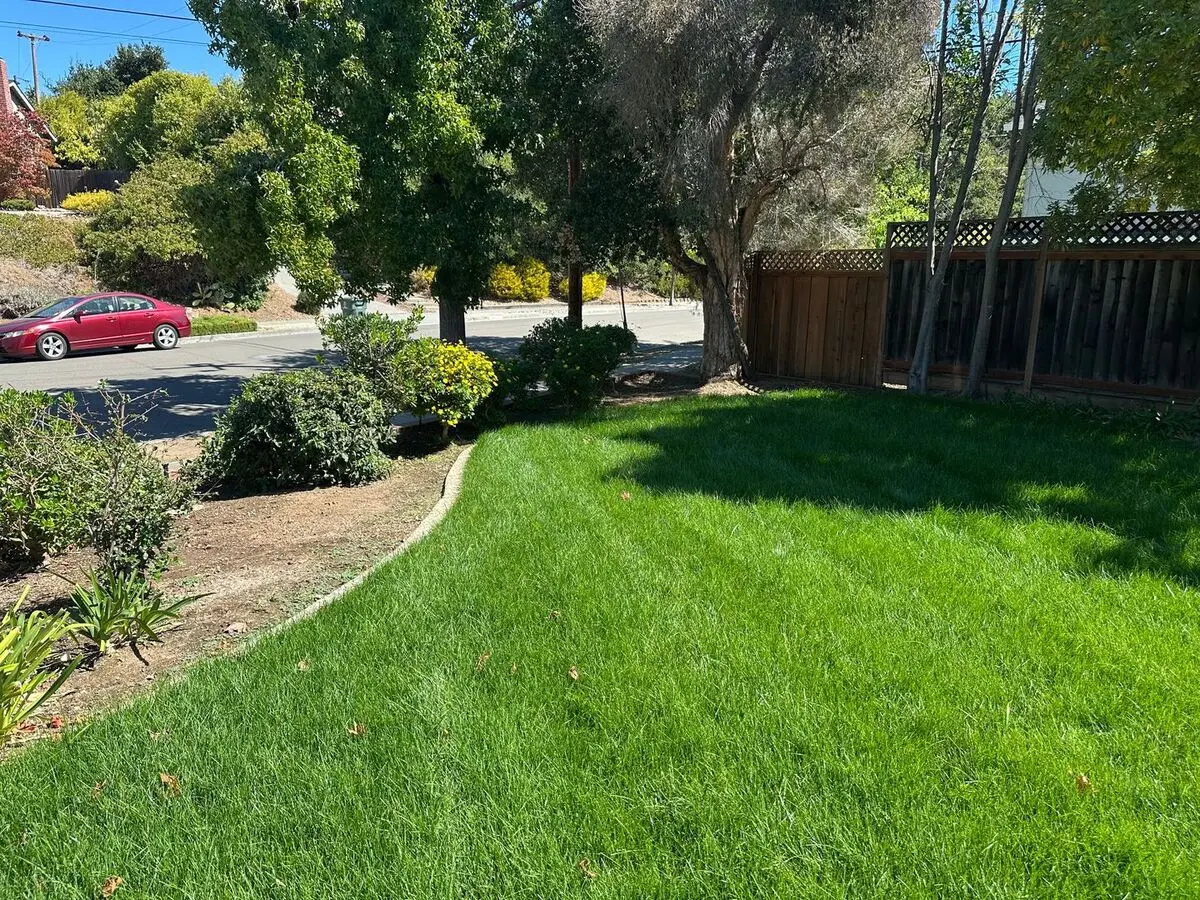 Beautiful Single Family Home In Cupertino photo 4