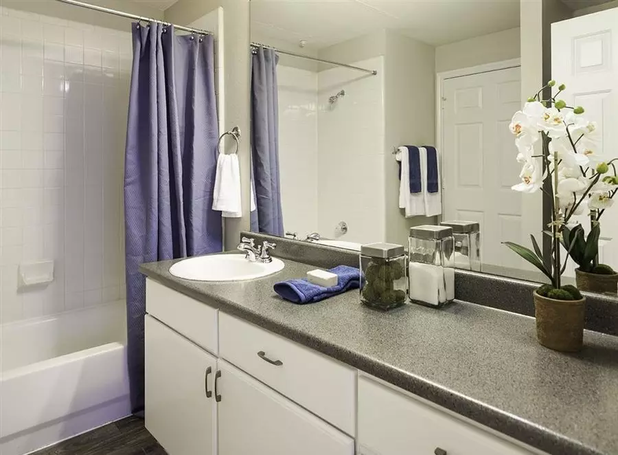 19007 Dallas Parkway, Dallas, TX 75287 photo 2