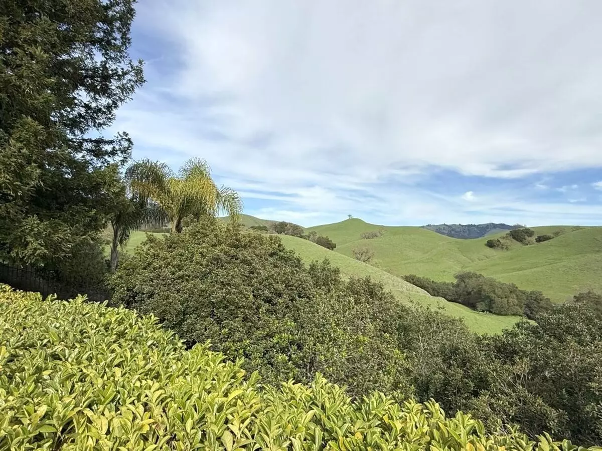 Beautiful Custom One Story Estate Located On One Of The Most Desirable Streets In Blackhawk Country Club ! Views ! photo 2