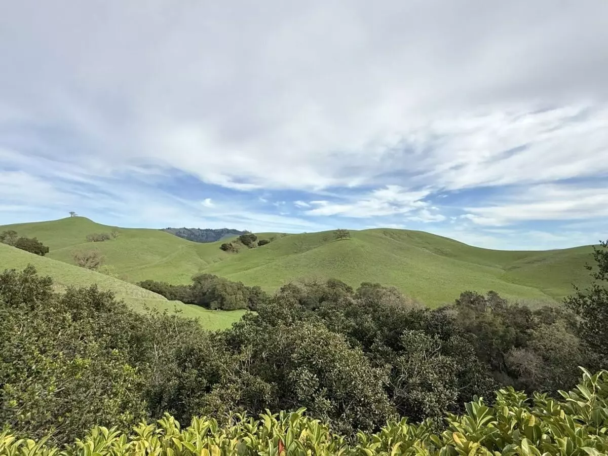 Beautiful Custom One Story Estate Located On One Of The Most Desirable Streets In Blackhawk Country Club ! Views ! photo 3