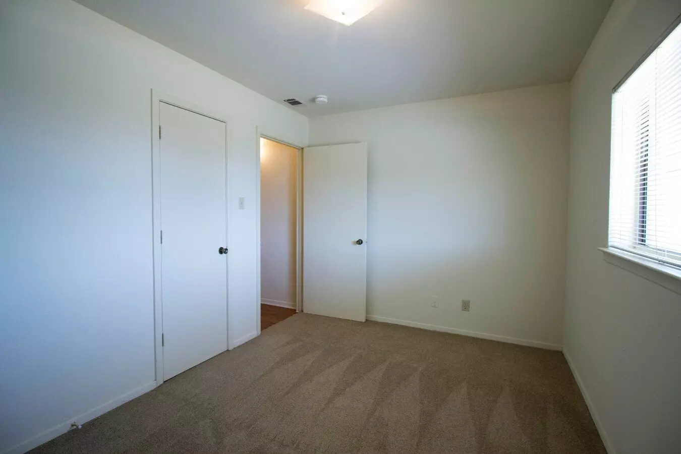 1700 West Hickory Street, Denton, TX 76201 photo 5