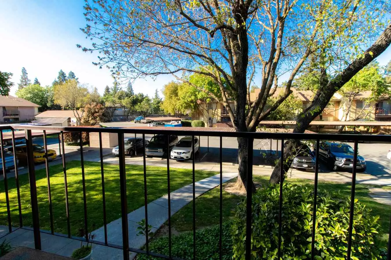 Meadowood Village Apartments photo 4