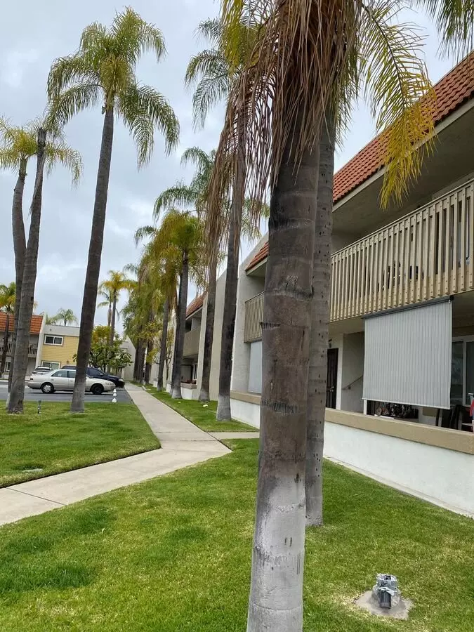 Spacious 2 Bedroom, 1 Bath Apartments — Your New Home In The Heart Of El Cajon photo 2