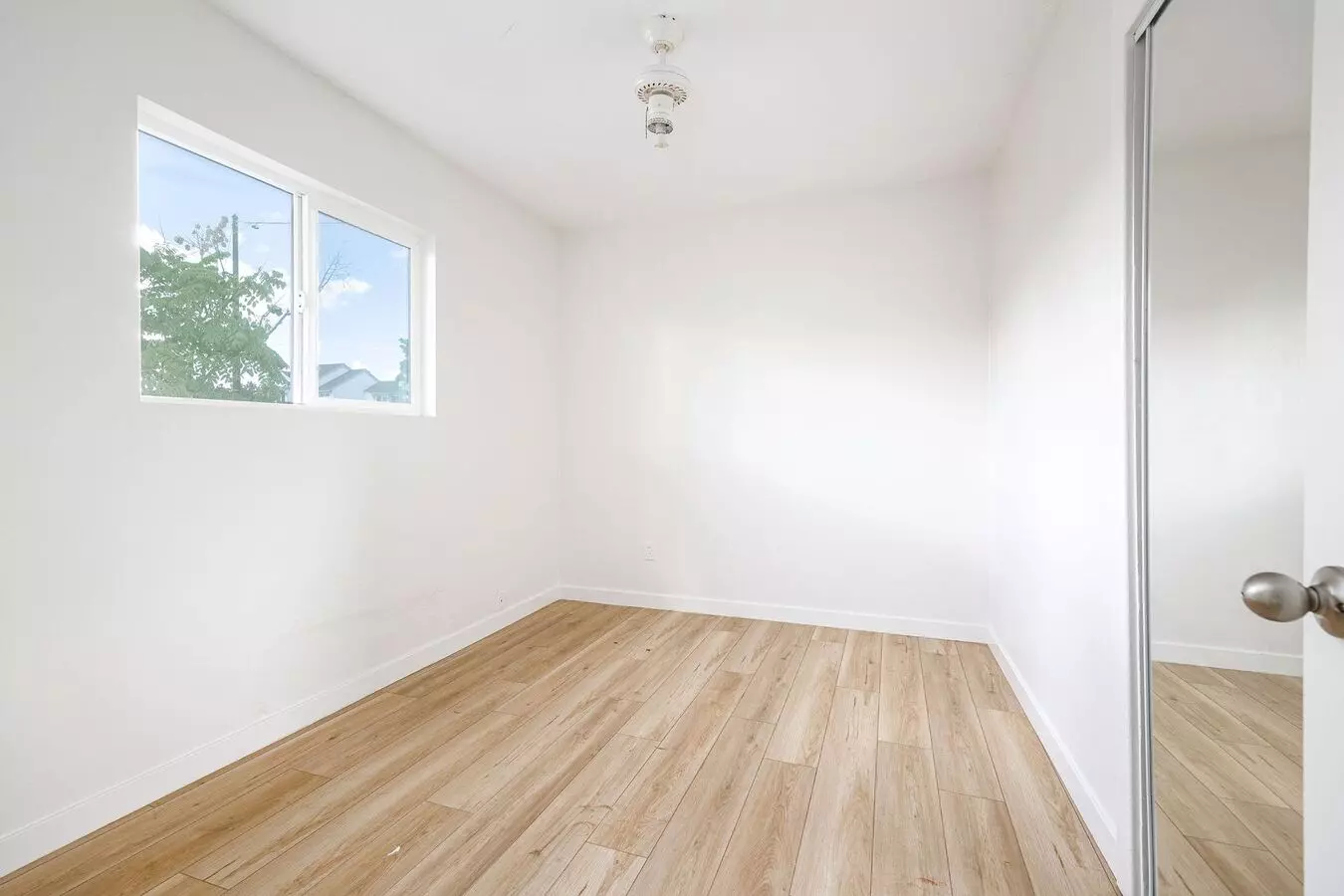 767 Ball Ave photo 5