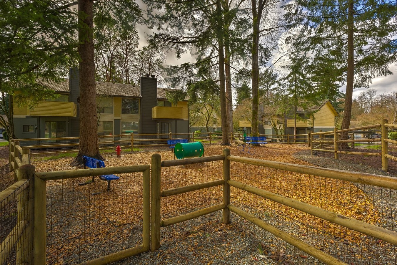 Commons photo 2
