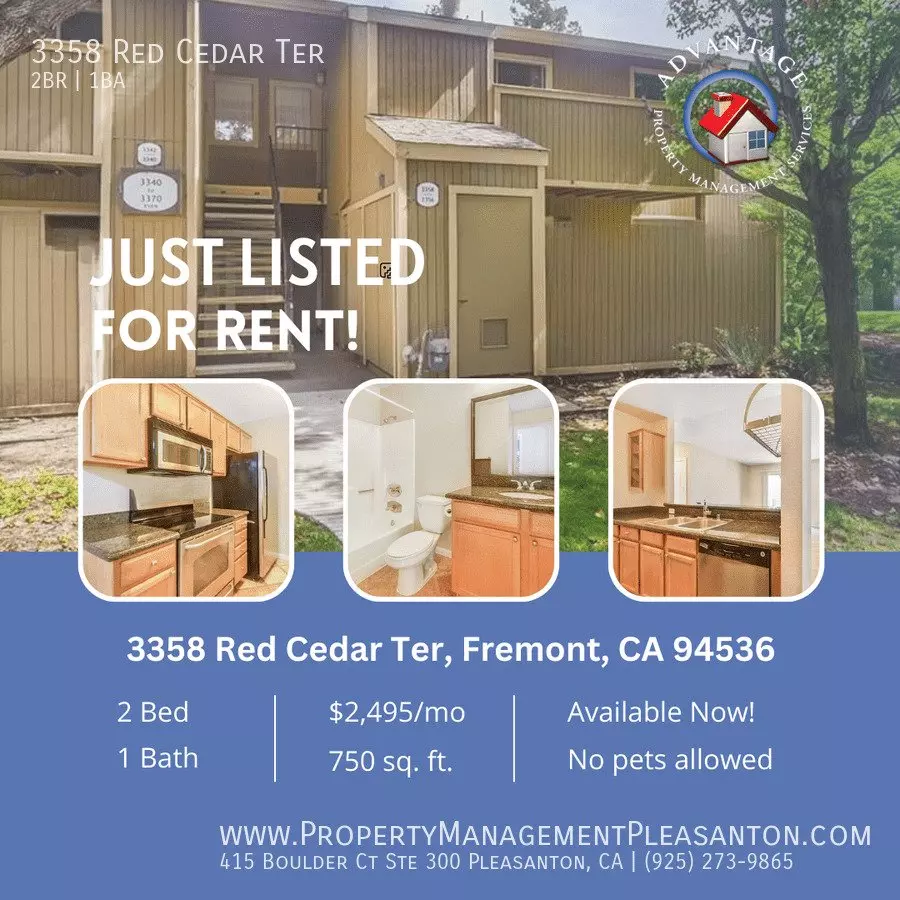 3358 Red Cedar Terrace, Fremont, CA 94536 photo 4
