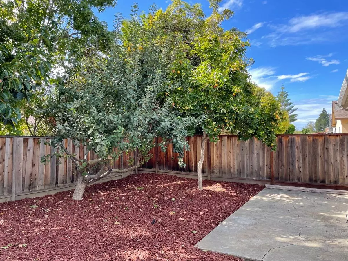 33847 Whitehead LN photo 4