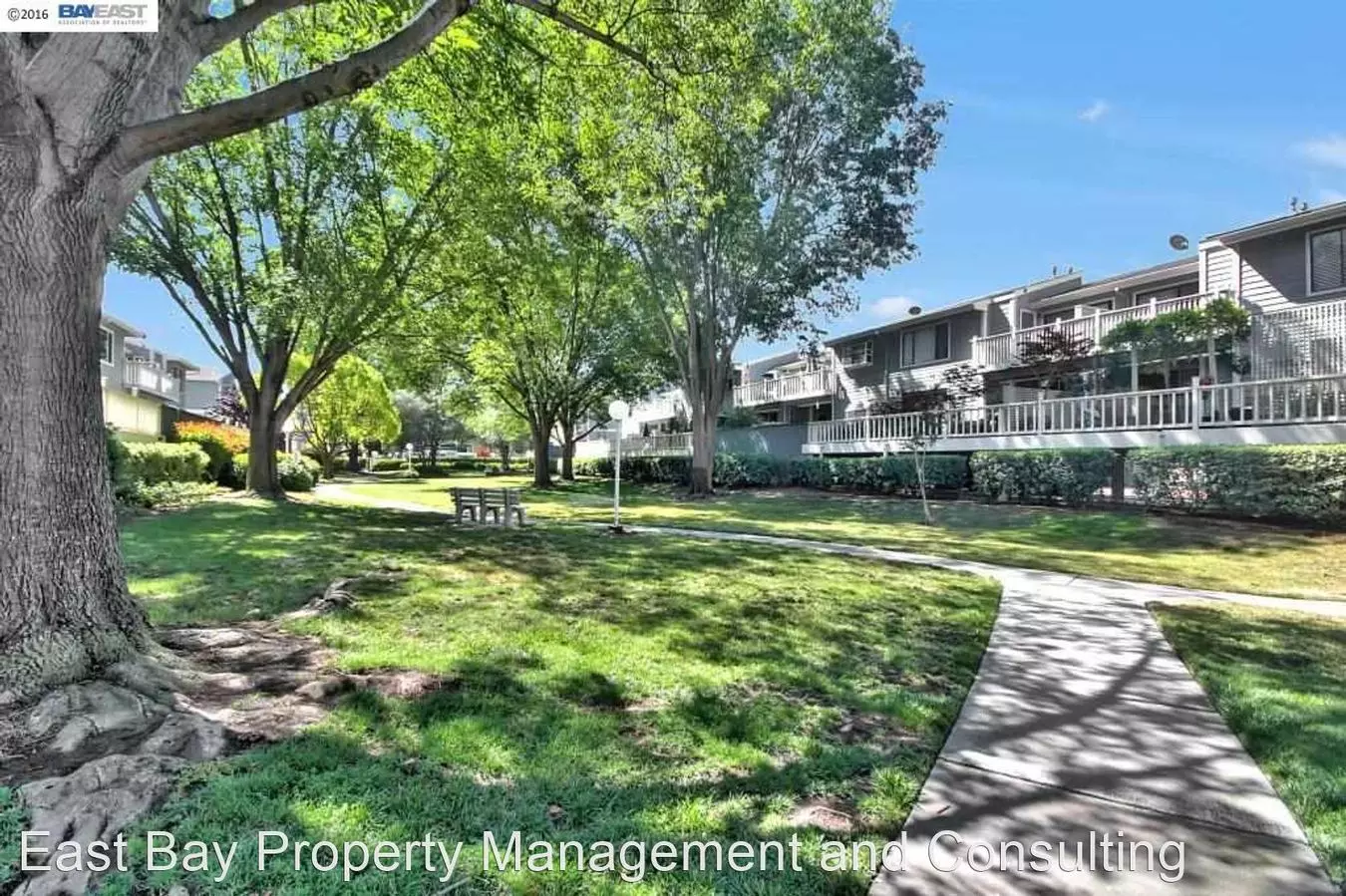 3390 Baywood Terrace, Fremont, CA 94536 photo 5