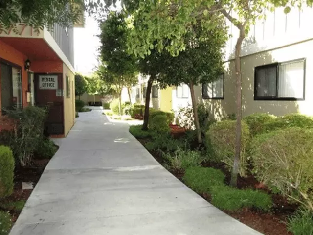 Cedar Apartments photo 2