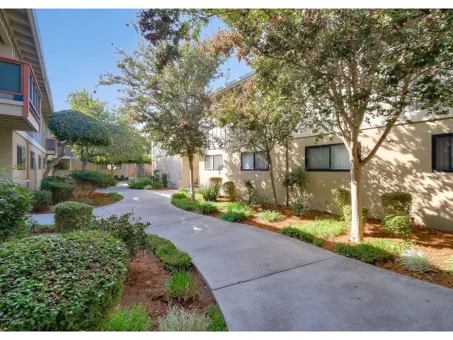 Cedar Apartments photo 3
