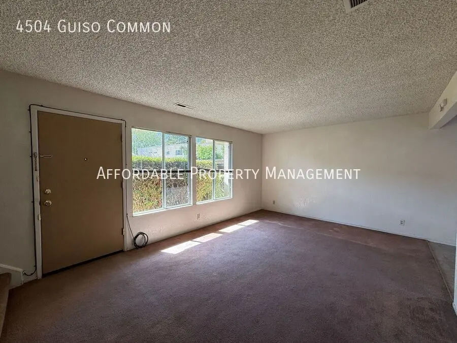 4504 Guiso Cmn photo 5