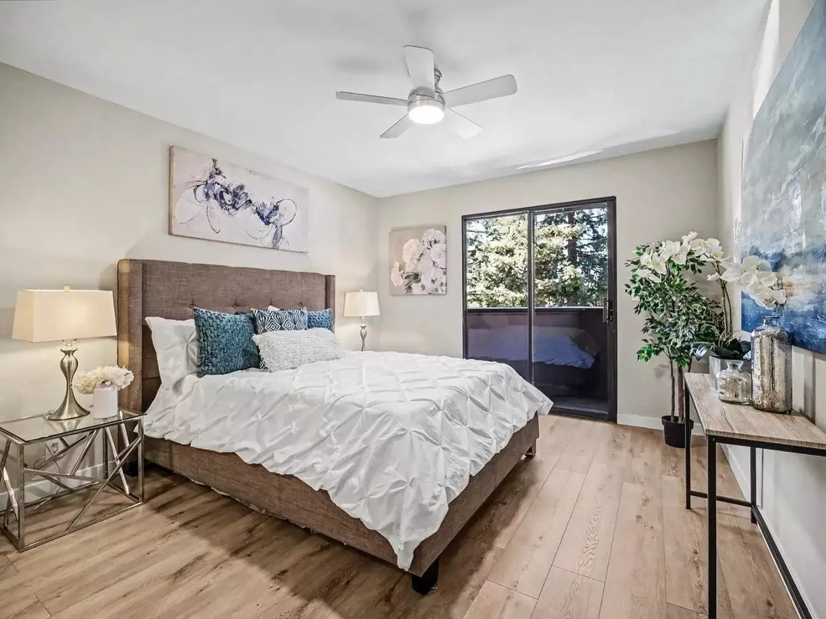 Palmia, Age 55+ Luxury Apartments photo 3