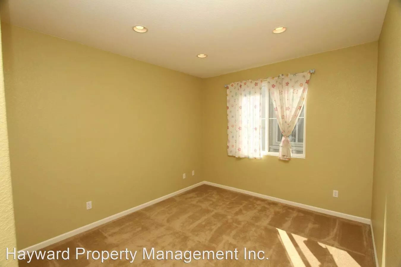 2563 Spindrift Cir. photo 5